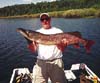Fishing Pike on Manitoulin