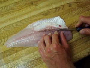 Filit walleye