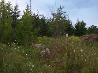 Fall on Manitoulin Island